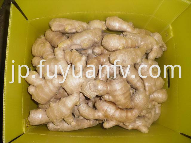 air dried ginger (99)